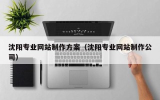 石河子沈阳专业网站制作方案（沈阳专业网站制作公司）